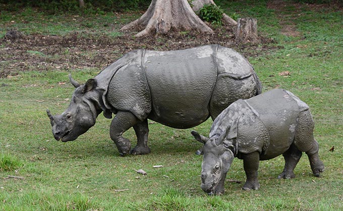Nepal introductory tour with Buddhist culture and nature